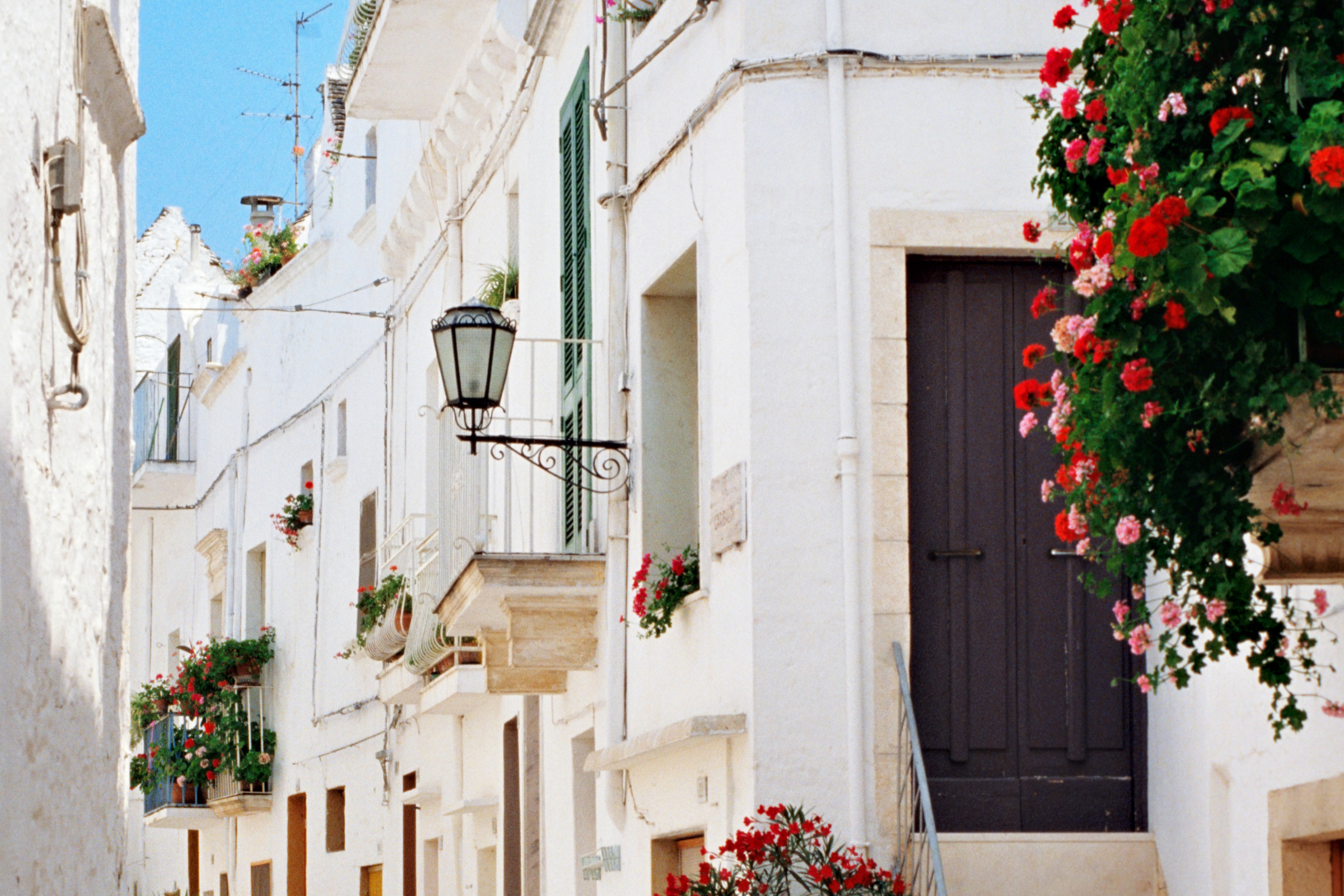 martina franca (4).webp